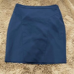 The Limited Skirt - Size 12